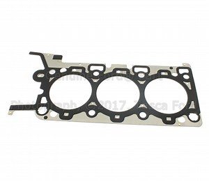 Head Gasket - Driver's Side (LH)