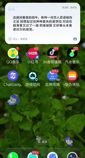 最近摸索出荣耀手机怎么下载华为应用市场，还有怎么用华为账号登录华为钱包的办法，整理好了分享给大家～ #荣耀600 #滁州荣耀 #手机使用技巧 #华为手机
