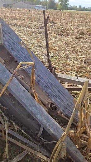 More pics of corn binder | Johnson County Antique Machinery Association