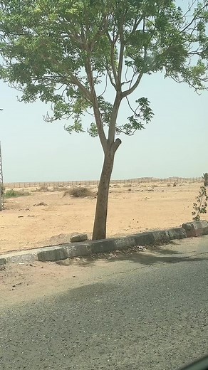 Exploring Luxor, Egypt: Adventure in the Desert