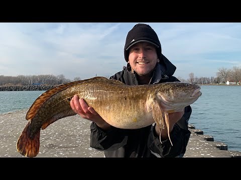 Catching a RARE Fish (BURBOT) in LAKE ERIE (Catch and Cook) (EELPOUT)