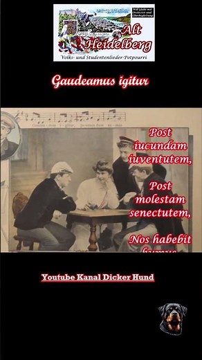 Gaudeamus igitur #studentenlied