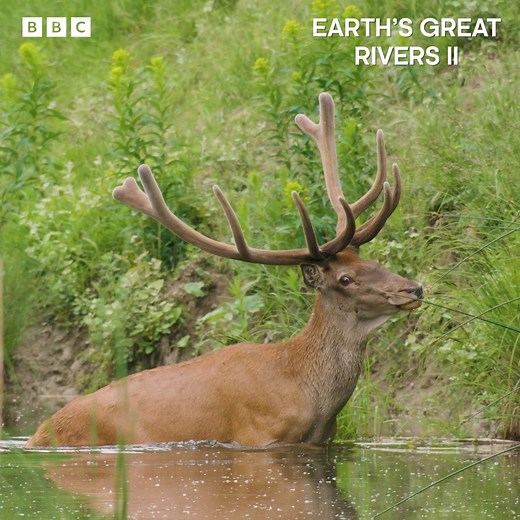 135K views · 1.4K reactions | Relax and drink in the sights of...