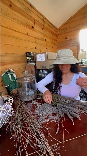 Como Hacer Bolsitas de Planta de Lavanda Aromáticas; Para Dormir y Relax! 💜🌿 #garden #plantas