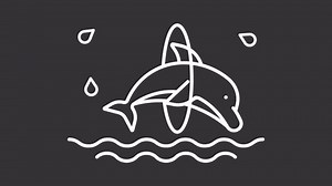 Animated jumping dolphin white icon. Diving fish line animation. Aquatic attraction. Amusement entertainment. Isolated illustration on dark background. Transition alpha video. Motion graphic