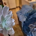 Floating Pool Lights,Lily pad Pond Light LED Lotus Flower,Battery Pond Decor,Floating Pool Flower Lights Night Lamp Color-Changing Gift Party Garden Wedding Swimming Pool Mother's Day Decor 14PCS