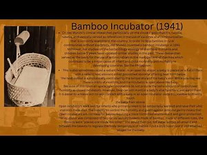Bamboo Incubator by Dr. Fe del Mundo