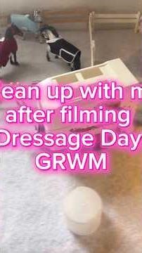 Let’s clean up! #schleich #modelhorse #schleichshortfilm #schleichorganization