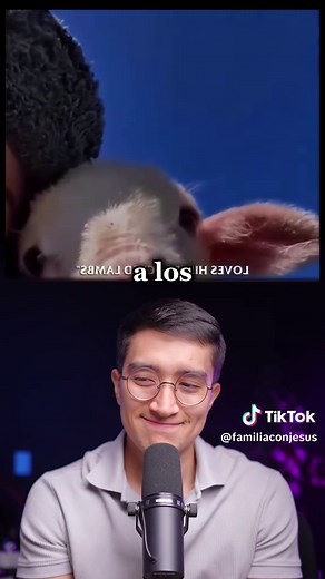 La Lección de la Oveja que Transformará tu Perspectiva