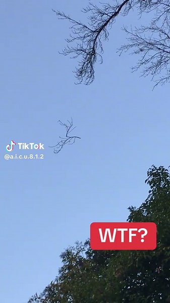 Floating Branch Phenomenon Explained