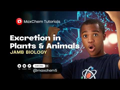 The Excretory System! Kidney Anatomy, Nephrons & Waste Removal (JAMB BIOLOGY)