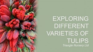 1K views · 16 reactions | In March, the Flower of the Month at...