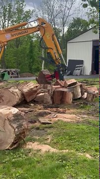 Mini Excavator with Harbor Freight log splitter