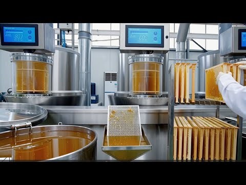 Inside the Honey Bee Megafactory : Witnessing the Production of Pure Natural Honey bee
