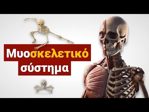 Πώς λειτουργεί το Μυοσκελετικό σύστημα του ανθρώπου; (Ελληνικοί υπότιτλοι)