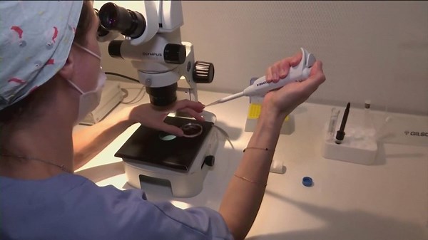 Judges limit North Carolina child support law requirement in IVF case involving same-sex couple