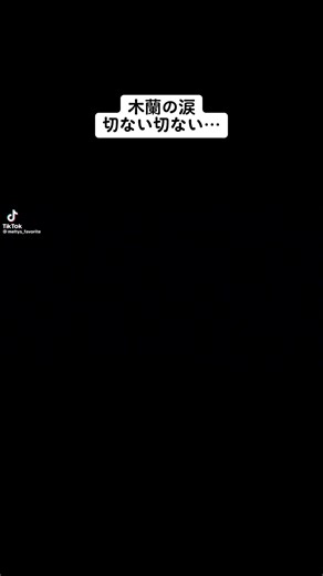 木蘭の涙 歌詞: 切ない切ない… | 玉置浩二の歌とメロディー