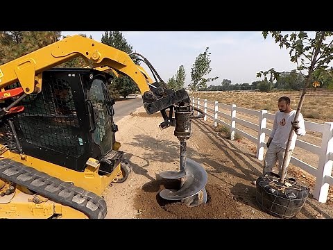 Planting the Trees Along Our Lane! 🌳🙌😍 // Garden Answer