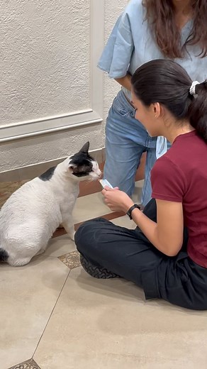 1.4K views · 38 reactions | As our Advanced Canine Behaviour Course...