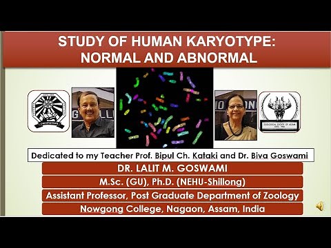 Study of Human Karyotype: Normal and Abnormal