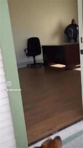 Not all dogs are built the same. The Border Patrol Tactical team uses a Patrol Canine for high-risk subjects and warrants. A valuable tool to end a dangerous situation before it even begins. #HonorFirst | US Border Patrol Laredo Sector