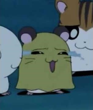 Hamtaro Penelope Crying,