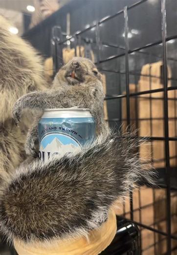 …hi 👋🏼🙂 @borrowed time oddities #oddities #odditiesandcuriosities | oddity opens door