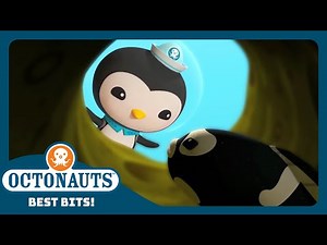 ‪@Octonauts‬ - 🤗 Meet MOMMA Convict Fish 🐠 | Season 4 | Best Bits!