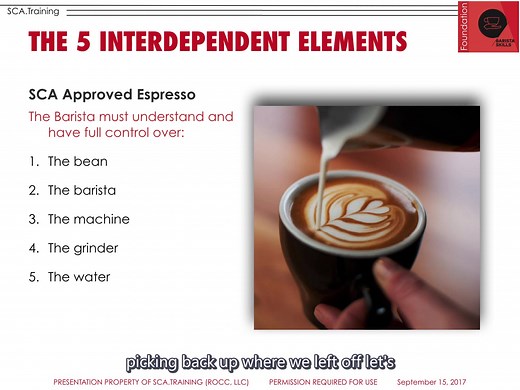 了解sca barista初级