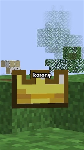 IP BLOCKLY.PL ↙️ #minecraft #minecraftshorts #anarchiagg