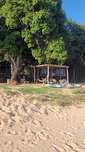 Patagonia Trashumante Fly Fishing is a soulful, off-the-beaten-path fly fishing experience in Northern Neuquén, Argentina — a land shaped by ancient volcanoes, crystal-clear rivers, and the timeless rhythm of transhumant shepherds. We specialize in personalized expeditions that blend world-class trout fishing with the raw beauty of Patagonia’s most remote and authentic landscapes. Our waters are home to healthy populations of wild brown, rainbow, and brook trout, thriving in pristine freestone r