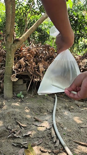 পানি দিয়ে মজার একটা সাইন্স এক্সপেরিমেন্ট করলাম | Making Point #experiment