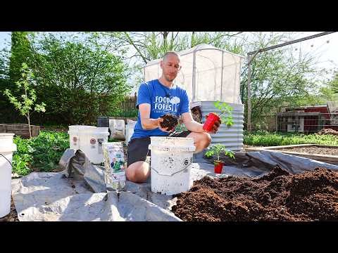 How to Grow a CONTAINER Garden, CHEAP and EASY Patio Gardening