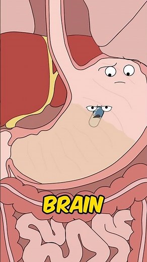 How Do SLEEPING PILLS Actually Work? (Insomnia Science) 💊😴 #shorts