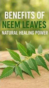 🌿 Neem Leaves Benefits You Must Know! 💚 #neem