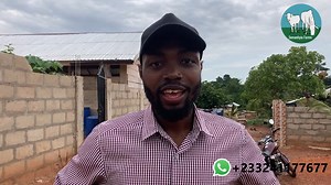 24 reactions · 5 comments | As part of our pig project, we are visiting as many farms as we can to learn more about pig farm. This one you will like so stay turn. | Farming In Africa | Facebook