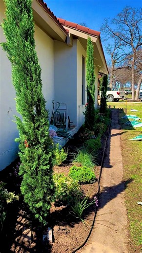 Exploring Nature: A Fun Day in the Dirt