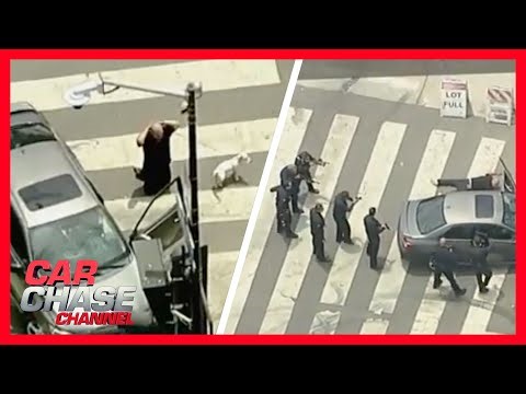 Alleged armed suspect with dog weaves in and out of traffic to escape police | Car Chase Channel