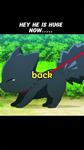 Goliath's a wolf dog 😮😅//#anime #shorts