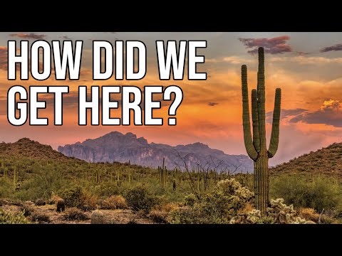 What is a Desert? // SCHOOL PROJECT