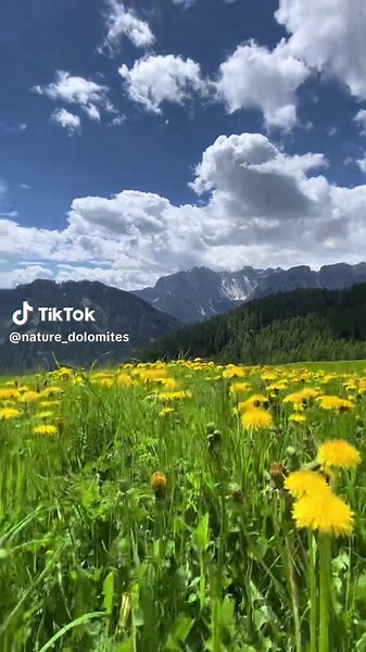 nature_dolomites su TikTok