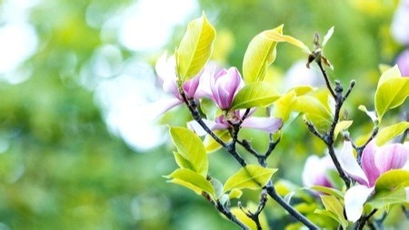 百吉热水器维修中心|24小时全国统一售后受理中心电话4008899746