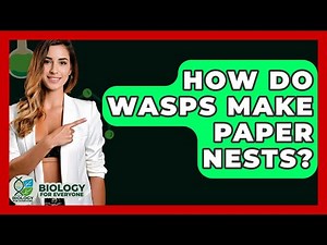 How Do Wasps Make Paper Nests? - Biology For Everyone