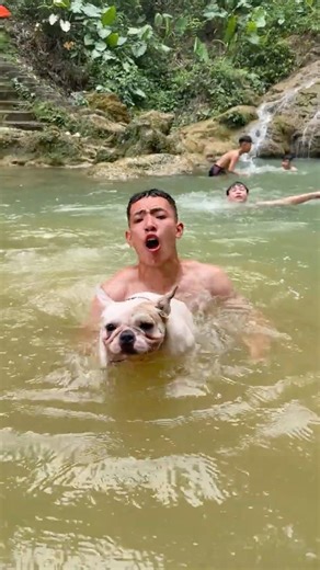 Brave Baby Saves Dog Swept Away by Dangerous Flood Waters 🐶🌊 #dog #pets