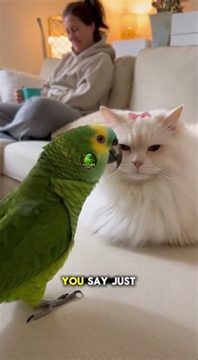 Parrot Says: Just Say Yes or No, Princess
