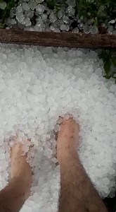 55 reactions · 11 shares | MAIS UM REGISTRO DA INTENSA CHUVA DE GRANIZOS QUE ATINGIU O PARANÁ (30/06) O Brasil está sendo atingido em varios lugares pelas mudanças planetárias, em alguns pontos por nuvens de gafanhotos, em outros por ciclone bomba. Essas mudanças serão cada vez mais intensas | Transição Planetária - As verdades escondidas | Facebook