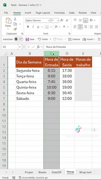 Calcule Horas de Trabalho no Excel Facilmente