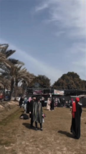 final year students be like🙂❤️#uafam #vibes #unilife #agrarians #uaf_snap_shots #lastyear #foryou #cabb #agriculture #university