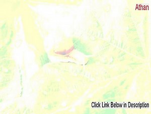 Athan (Azan) Basic Download Free - athan download