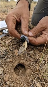 POV: A Snake Discovers a Hidden Snake Den Underground 🐍